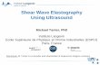 Shear Wave Elastography Using Ultrasound