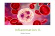 Inflammation II. - Semmelweis