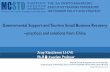Governmental Support and Tourism Small Business Recovery ...