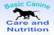 1. Breed of dog Vet care and vaccinations Nutrition Grooming