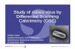 Study of rabies virus by Differential Scanning Calorimetry ...