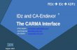 The CARMA Interface