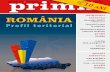 AUDATeX Romania Profil teritorial Controlul intern ...