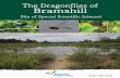 The Dragonflies of Bramshill - Freshwater Habitats