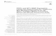 DDR1 and MT1-MMP Expression Levels Are Determinant for ...