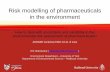 Risk modelling of pharmaceuticals in the environment