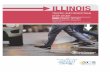 Illinois Traffic and Pedestrian Stop Study