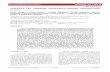 Research Paper MicroRNA-34a regulates doxorubicin-induced ...
