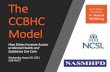 The CCBHC Model