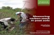 Measuring carbon stock in peat soils - World Agroforestry