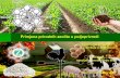 Primjena prirodnih zeolita u poljoprivredi