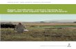 Egypt: Smallholder contract farming for high-value and ...
