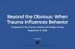 Beyond the Obvious: When Trauma Influences Behavior