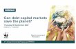 Capital markets can’t thrive when ecosystems default is ...