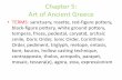 Chapter 5: Art of Ancient Greece - HCC Learning Web