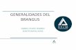 GENERALIDADES DEL BRANGUS - Perulactea