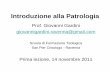 Introduzione alla Patrologia - Chiesacattolica.it