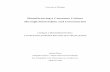 Manufacturing a Consumer Culture Through Materialism and ...
