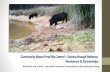 Community Based Feral Pig Control Persistence & Partnerships