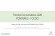 Fondos Concursables 2020 FONDEREG - FOCOCI