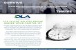 DLA Capital Advisory and Restructuring One-Pager v2