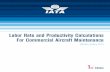 ANNUAL GENERAL MEETING - IATA
