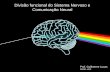 Divisão funcional do Sistema Nervoso e Comunicação Neural