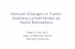 Immune Changes in Tumor- Draining Lymph Nodes as Novel ...