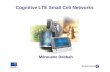 Cognitive LTE Small Cell Networks - 3G, 4G