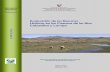 Evaluación de los Recursos Hídricos en las Cuencas de los ...