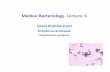 Medical Bacteriology- Lecture: 6 - KSU