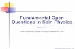 Fundamental Open Questions in Spin Physics