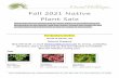 Fall 2021 Native Plant Sale - Coastal WildScapes