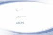 7.2 System i - IBM