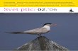Druga številka//poljudni članek: Teritorialnost ptic – moč ...