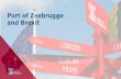 Port of Zeebrugge and Brexit