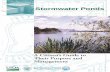 Stormwater Ponds: A Citizen’s Guide to Their Purpose and