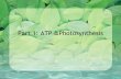Part 1: ATP &Photosynthesis - DDTwo