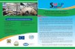 STANDARDS AND MARKET ACCESS PROGRAMME (SMAP)