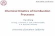 Chemical Kinetics of Combustion Processes