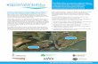 Looe Flood Defence leaflet