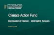 Climate Action Fund - assets.gov.ie
