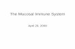 Mucosal immune system '09 - New Jersey Medical School