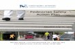 Pedestrian Safety Action Plan - MetroPlan Orlando