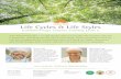 Life Cycles & Life Styles - AMAR DAS Kundalini Yoga ...
