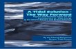 2009 - A Tidal Solution (Severn Energy Policy)