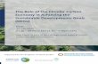 The Role of the Circular Carbon Economy in Achieving the ...
