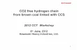 CO2 free hydrogen chain from brown coal linked with CCS