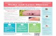 Ticks and Lyme Disease - montcopa.org