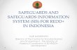 SAFEGUARDS INFORMATION SYSTEM (SIS) AND SAFEGUARDS …